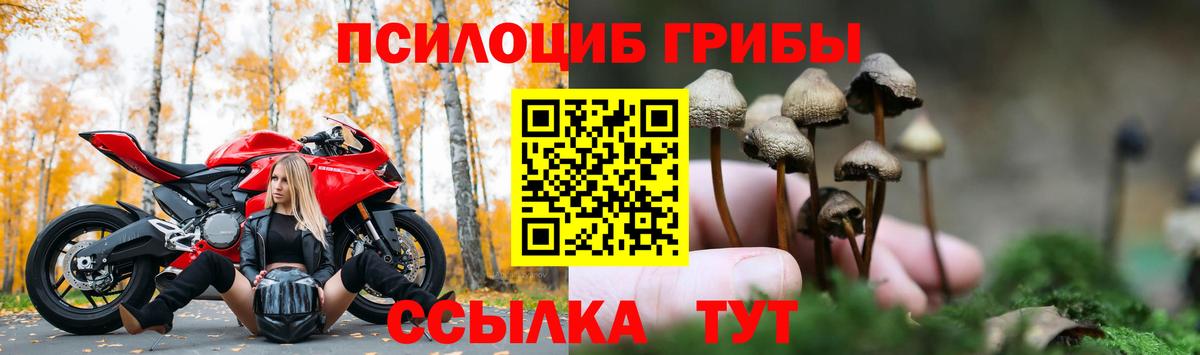 Галлюциногенные грибы мухоморы Кузнецк